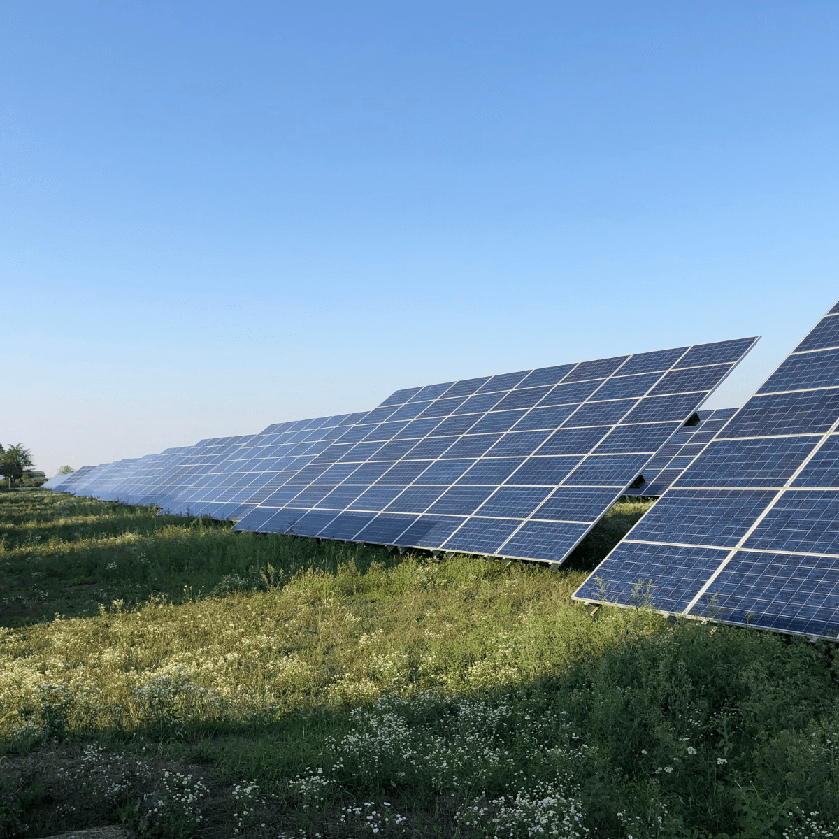 découvrez comment l'investissement dans des panneaux photovoltaïques peut transformer votre consommation d'énergie tout en réduisant votre empreinte carbone. optez pour une solution durable et économisez sur vos factures d'électricité grâce à une énergie solaire fiable et renouvelable.