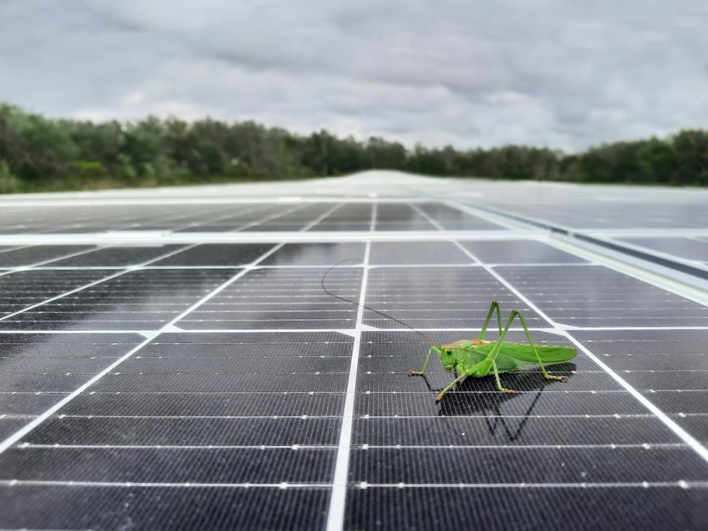 découvrez comment les dernières innovations transforment l'efficacité et la durabilité des panneaux photovoltaïques, boostant ainsi la production d'énergie solaire et leur intégration dans nos vies quotidiennes.