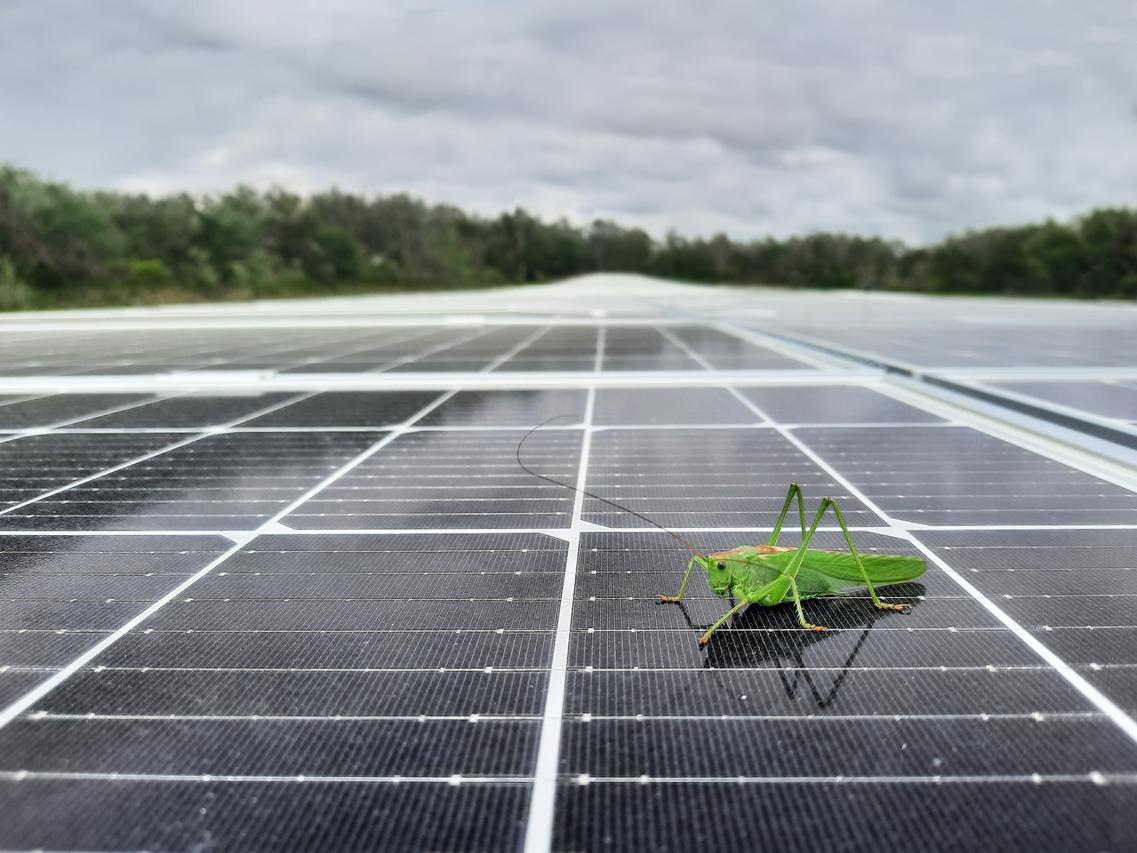 découvrez comment les dernières innovations transforment l'efficacité et la durabilité des panneaux photovoltaïques, boostant ainsi la production d'énergie solaire et leur intégration dans nos vies quotidiennes.