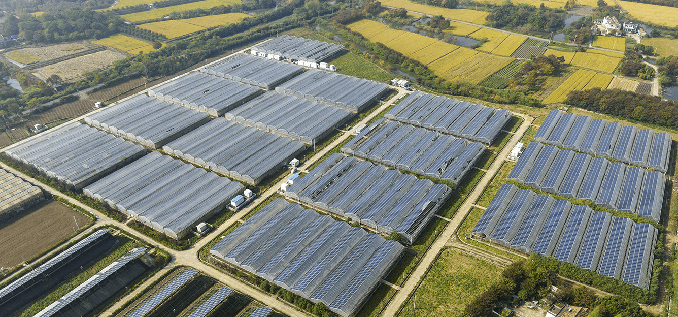 découvrez comment les panneaux photovoltaïques contribuent au développement durable en offrant une source d'énergie renouvelable, réduisant les émissions de carbone et préservant l'environnement. adoptez une approche écologique et économique grâce à ces technologies innovantes.