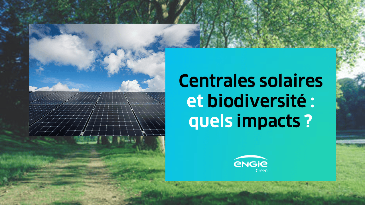 découvrez l'impact des panneaux photovoltaïques sur l'environnement et l'économie. apprenez comment cette source d'énergie renouvelable contribue à la réduction des émissions de co2, favorise l'autonomie énergétique et crée des emplois tout en offrant des solutions durables pour l'avenir.