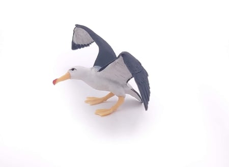 découvrez notre comparatif complet des albatros, présentant les différentes espèces, leurs caractéristiques, habitats et comportement. un guide indispensable pour les passionnés d'ornithologie et les amoureux de la nature.