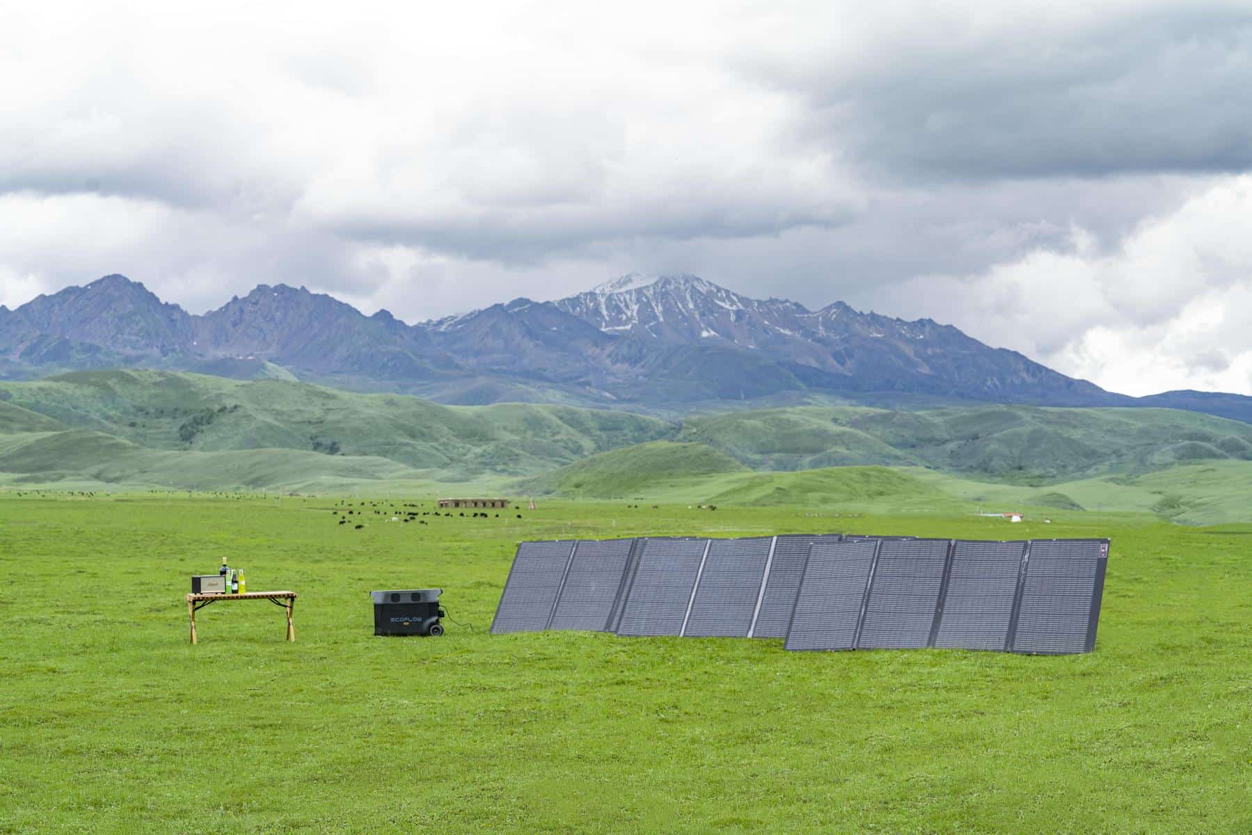 découvrez les avantages des panneaux solaires 1000w d'occasion : une solution économique et écologique pour produire votre propre électricité. profitez d'une énergie renouvelable à moindre coût tout en contribuant à la préservation de l'environnement. idéal pour les projets de transition énergétique, ces panneaux offrent performance et durabilité.