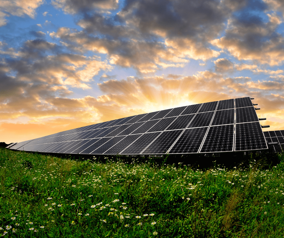 découvrez comment les panneaux photovoltaïques transforment la lumière du soleil en énergie durable. idéaux pour réduire votre facture d'électricité, ils contribuent également à la protection de l'environnement. informez-vous sur les avantages, l'installation et les contraintes associées à cette solution énergique innovante.