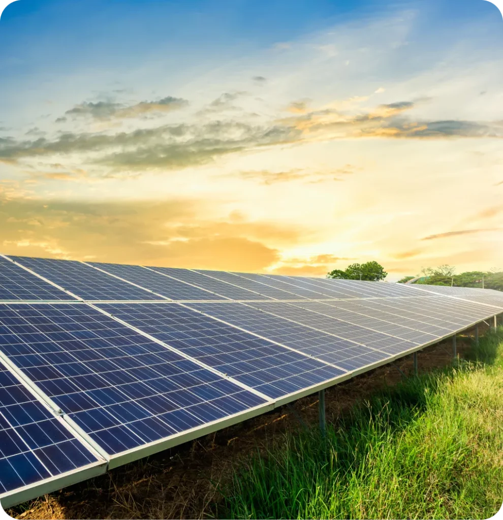 découvrez nos panneaux photovoltaïques durables, conçus pour maximiser l'efficacité énergétique tout en respectant l'environnement. optez pour une solution d'énergie renouvelable qui bénéficie à la planète et à votre portefeuille.