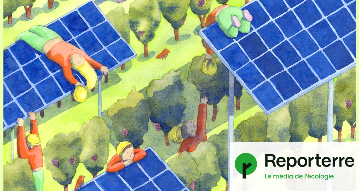 découvrez comment les panneaux photovoltaïques contribuent à une écologie durable. apprenez les bienfaits de l'énergie solaire, les technologies innovantes et les solutions écologiques pour réduire votre empreinte carbone tout en profitant d'une énergie renouvelable et propre.