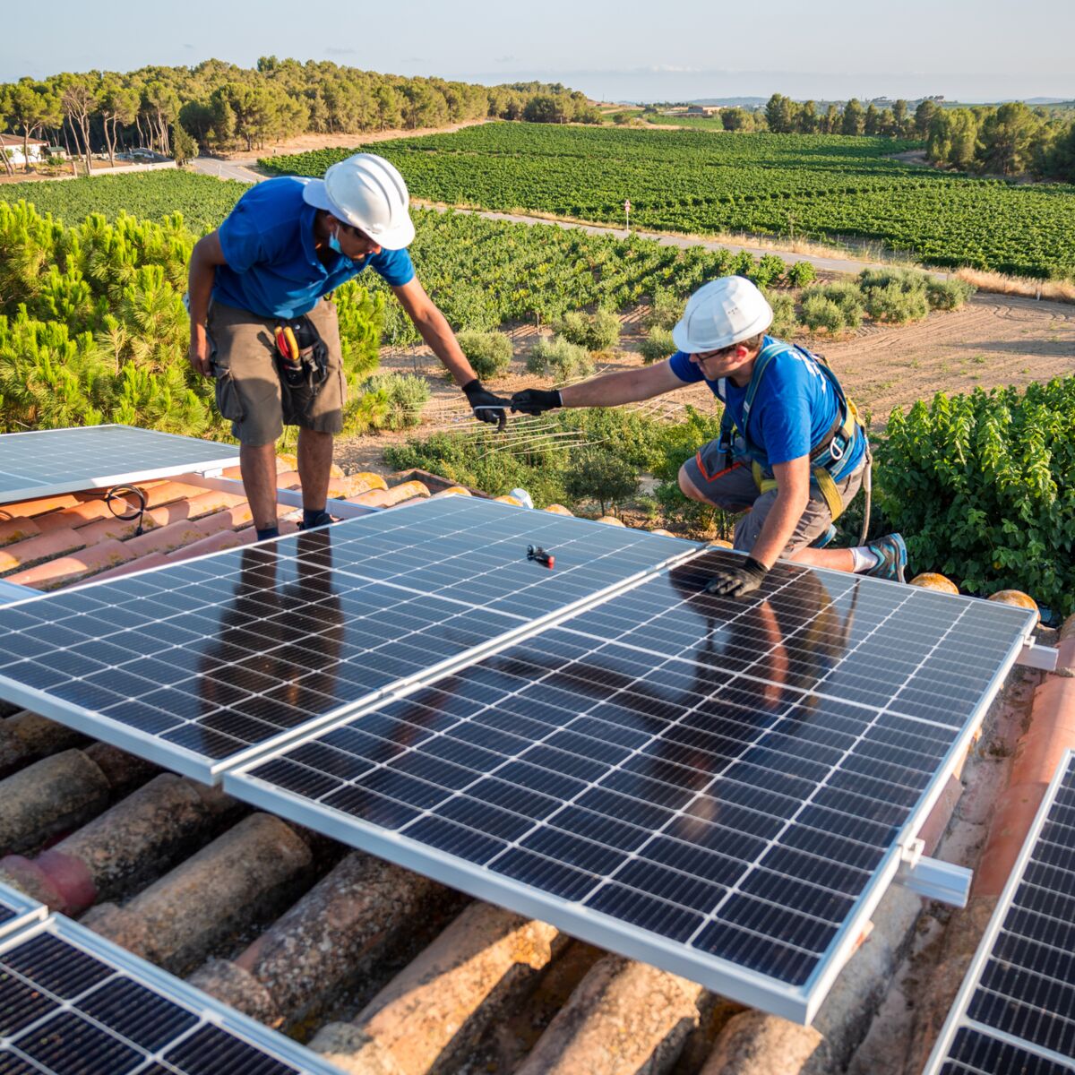 découvrez comment les panneaux photovoltaïques peuvent transformer votre investissement en une source de revenus durable. apprenez les avantages financiers, les aides disponibles et comment maximiser votre rentabilité grâce à l'énergie solaire.