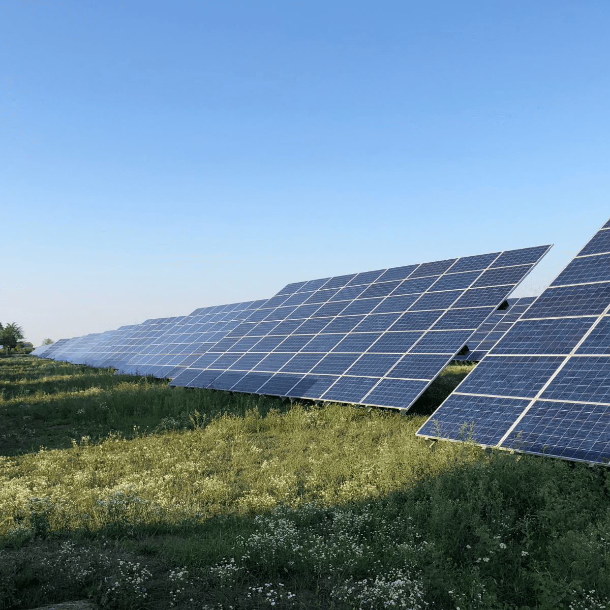 découvrez comment l'investissement dans les panneaux solaires peut réduire vos factures d'énergie, vous fournir une source d'énergie renouvelable et contribuer à la préservation de l'environnement. explorez les avantages financiers et écologiques d'une installation solaire.