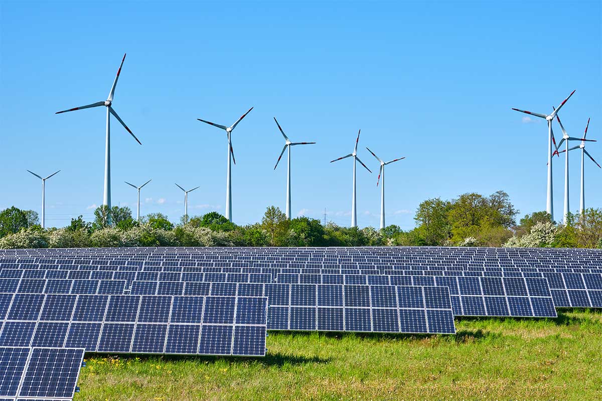 découvrez les principaux acteurs de l'énergie solaire en france, leur rôle dans la transition énergétique, ainsi que les innovations qu'ils apportent pour un avenir plus durable.