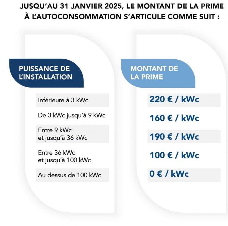 découvrez toutes les aides disponibles pour l'installation de panneaux photovoltaïques en 2025. profitez de subventions, crédits d'impôt et autres dispositifs pour réduire vos coûts et investir dans l'énergie renouvelable tout en réalisant des économies sur vos factures d'électricité.