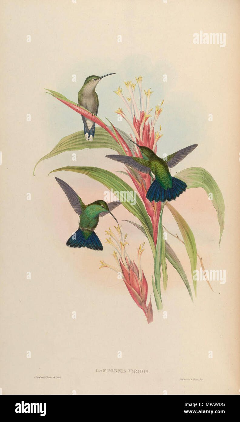 découvrez les alternatives viridis, une approche innovante et durable pour préserver notre environnement tout en favorisant des choix éco-responsables. explorez des solutions alternatives qui respectent la biodiversité et soutiennent un développement durable.