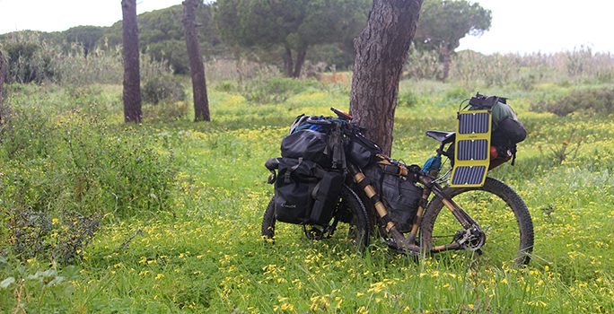 découvrez comment les chargeurs solaires peuvent garantir une autonomie énergétique optimale pour vos appareils. apprenez les avantages de cette technologie durable, son fonctionnement, et comment choisir le modèle adapté à vos besoins pour rester connecté où que vous soyez.