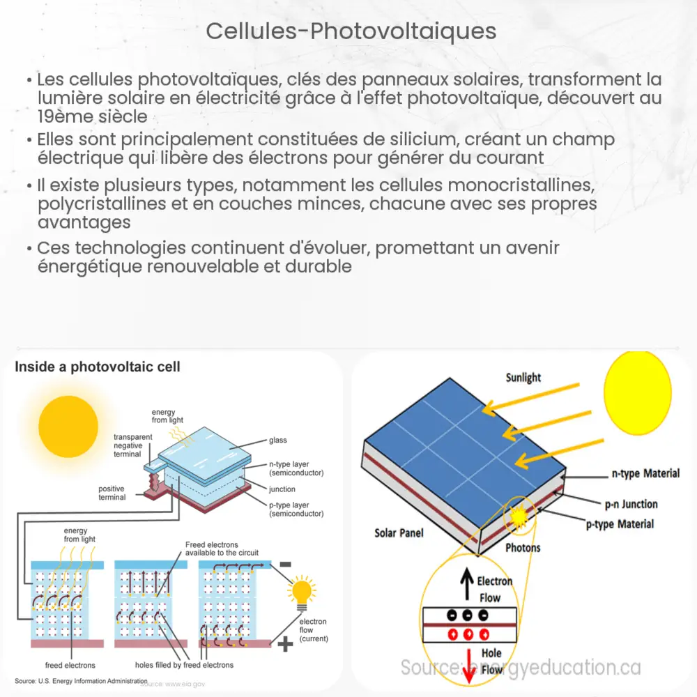 découvrez les avantages des panneaux photovoltaïques : une source d'énergie renouvelable, des économies sur vos factures d'électricité, une réduction de votre empreinte carbone et une valorisation de votre patrimoine. adoptez une solution durable pour l'avenir!
