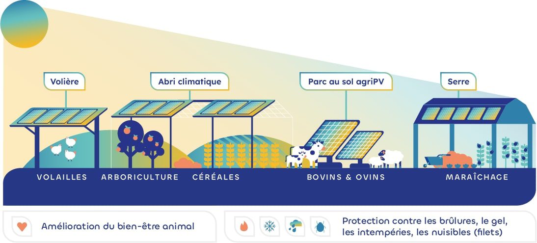 découvrez les nombreux avantages des panneaux photovoltaïques : réduction des factures d'électricité, énergies renouvelables, faible impact environnemental et valorisation de votre patrimoine. optez pour une solution durable et économique pour un avenir plus vert!
