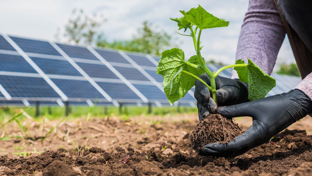 découvrez l'avenir des panneaux photovoltaïques : innovations, technologies émergentes et tendances durables qui révolutionnent la production d'énergie solaire. informez-vous sur les avantages écologiques et économiques de cette énergie renouvelable pour un monde plus vert.
