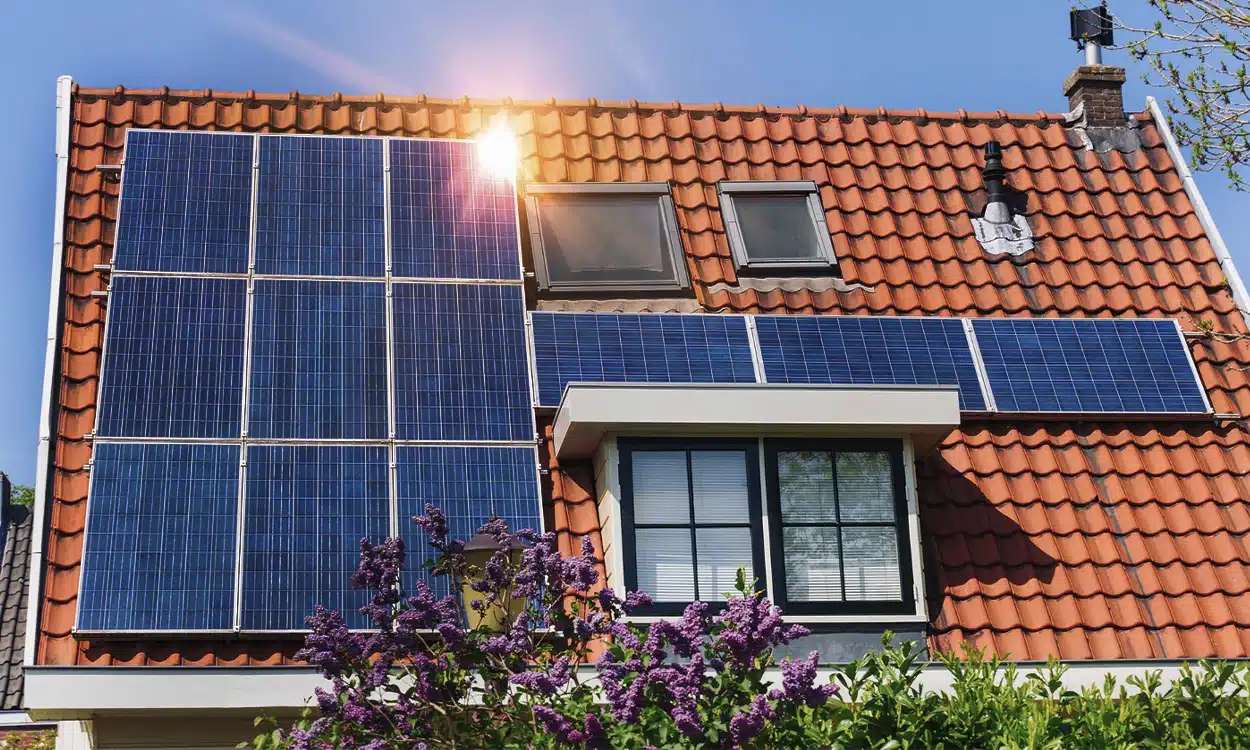 découvrez notre avis complet sur les panneaux solaires ikea. analysez les avantages, les performances et les retours d'expérience des utilisateurs pour faire le meilleur choix pour votre projet d'énergie renouvelable.