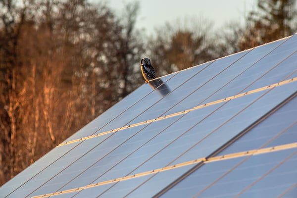 découvrez les éléments clés du coût d'installation d'une solution photovoltaïque. informez-vous sur les prix des panneaux solaires, des équipements, de la main-d'œuvre et des aides financières disponibles pour un projet d'énergie renouvelable réussi.