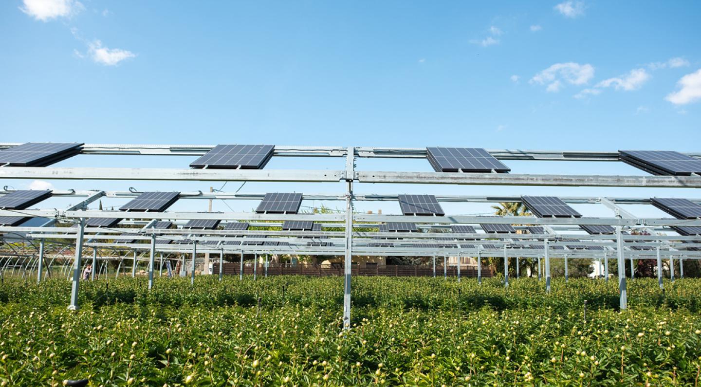 découvrez comment l'énergie solaire durable transforme notre avenir énergétique, en offrant des solutions écologiques et innovantes pour réduire notre empreinte carbone et promouvoir un développement durable.