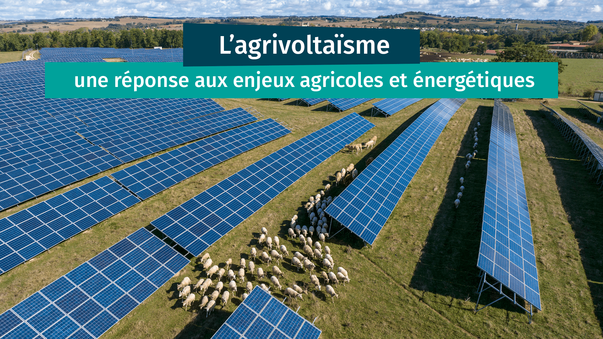 découvrez les enjeux cruciaux des panneaux photovoltaïques : impact environnemental, rentabilité économique et transition énergétique. informez-vous sur les défis et opportunités liés à cette technologie durable qui façonne l'avenir de l'énergie.