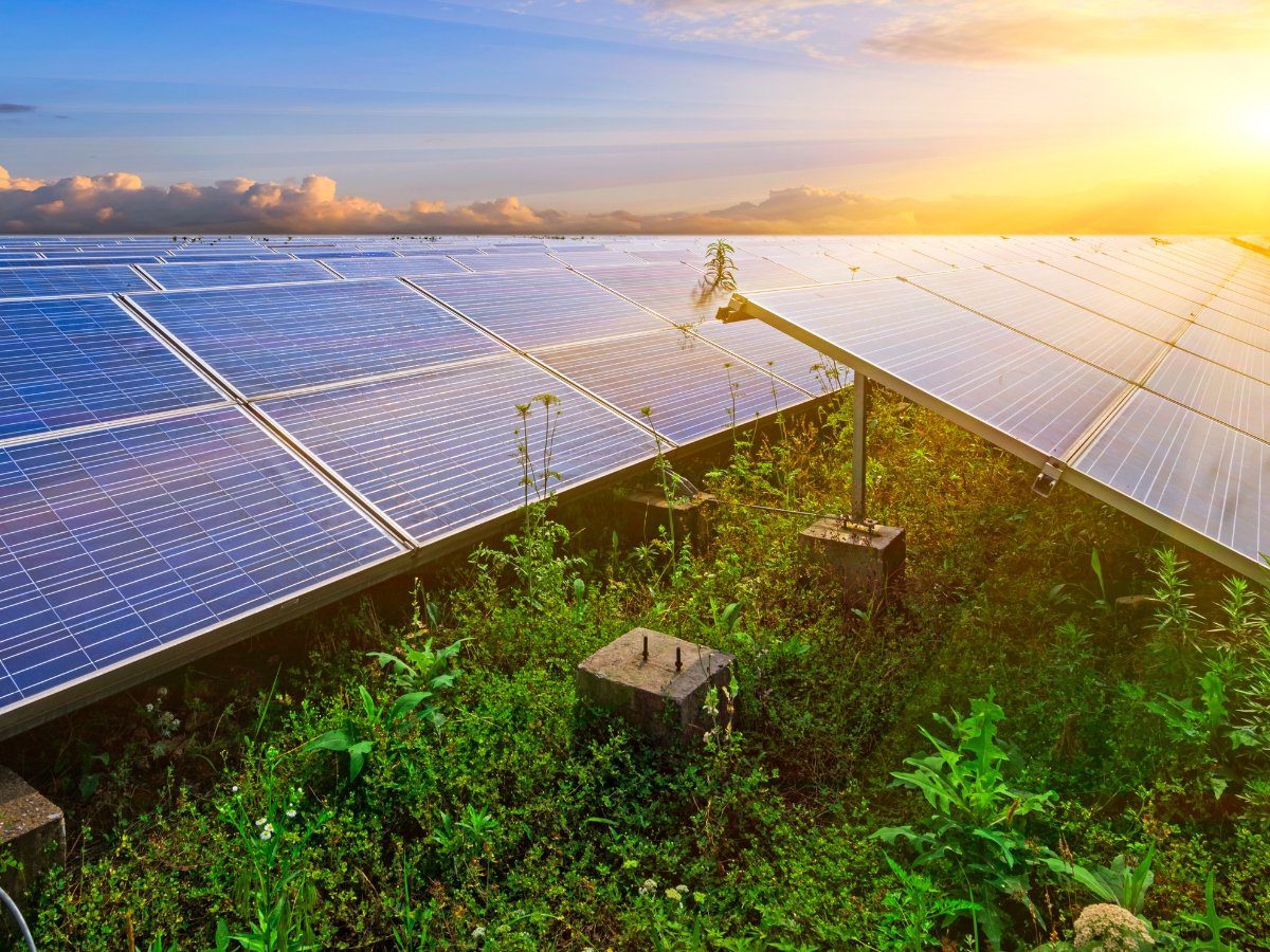 découvrez comment l'ensoleillement optimal peut transformer votre projet solaire en une source d'énergie durable et efficace. explorez les avantages de l'énergie solaire et maximisez votre rendement grâce à une planification stratégique.