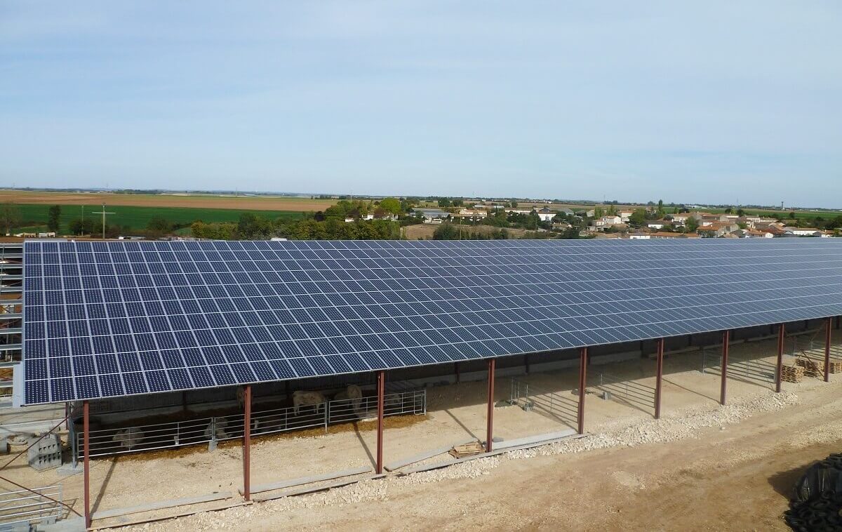 découvrez notre service de fournisseur de panneaux photovoltaïques, offrant des solutions écologiques et économiques pour la production d'énergie solaire. profitez d'une installation de qualité, d'un accompagnement personnalisé et d'une expertise reconnue pour maximiser votre investissement en énergie renouvelable.