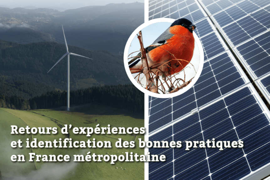 découvrez notre guide complet sur le photovoltaïque en france : conseils pratiques, démarches administratives, avantages économiques et environnementaux, pour vous aider à choisir la solution solaire qui correspond à vos besoins.