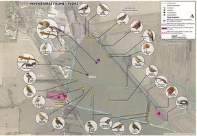 découvrez l'impact des panneaux photovoltaïques sur l'environnement et l'économie. analysez leurs bénéfices énergétiques, réduisez votre empreinte carbone et contribuez à la transition énergétique grâce à cette solution solaire.