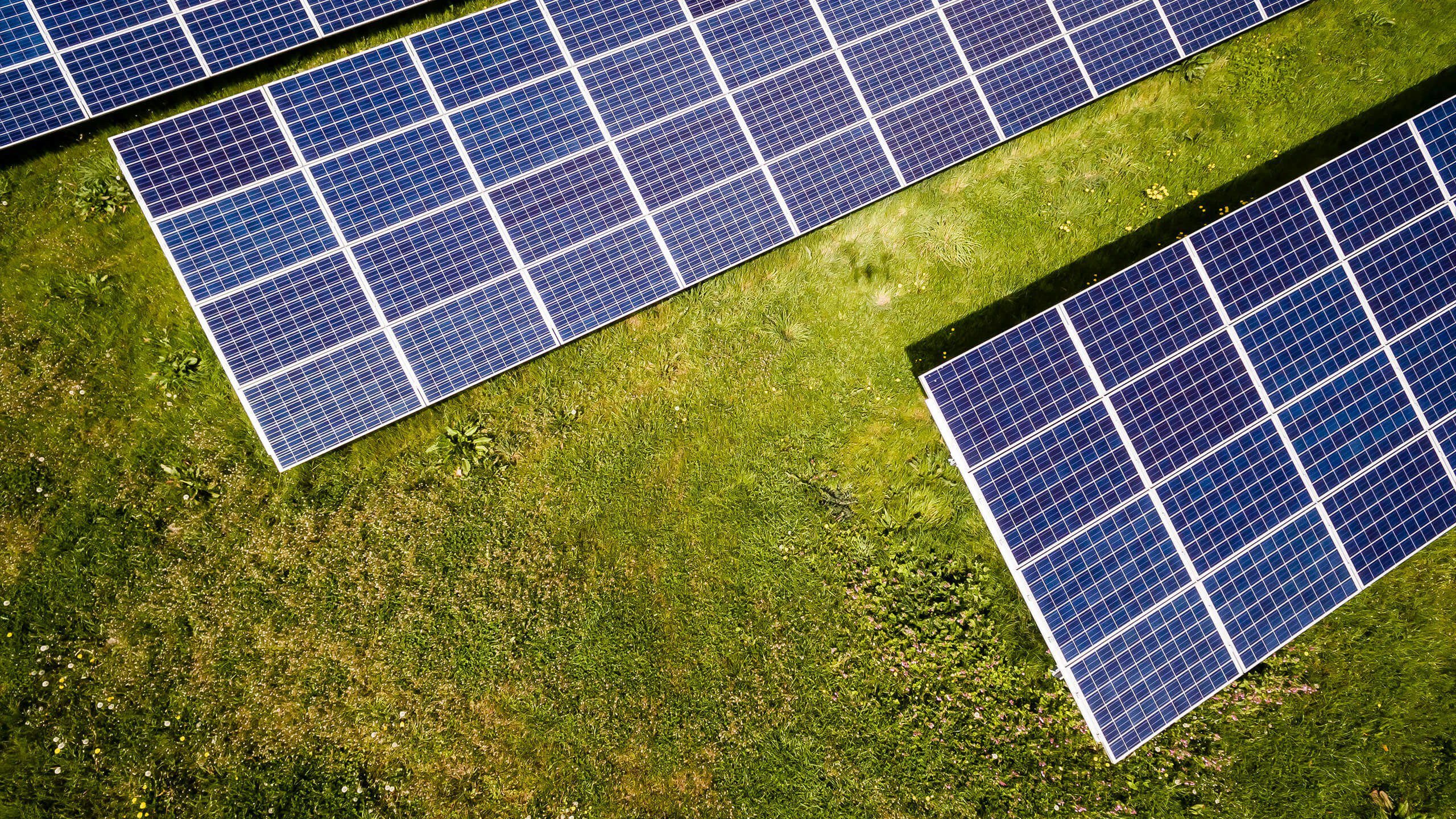 découvrez les impacts environnementaux des panneaux photovoltaïques : avantages et inconvénients écologiques, ressources utilisées, et implications sur la biodiversité. informez-vous sur la durabilité et l'efficacité énergétique de cette source d'énergie renouvelable.