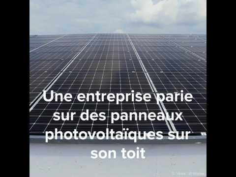 découvrez comment ikea intègre l'innovation durable avec ses panneaux photovoltaïques, contribuant à un avenir énergétique plus respectueux de l'environnement tout en offrant des solutions accessibles pour tous. engagez-vous vers un habitat plus vert avec les initiatives écologiques d'ikea.
