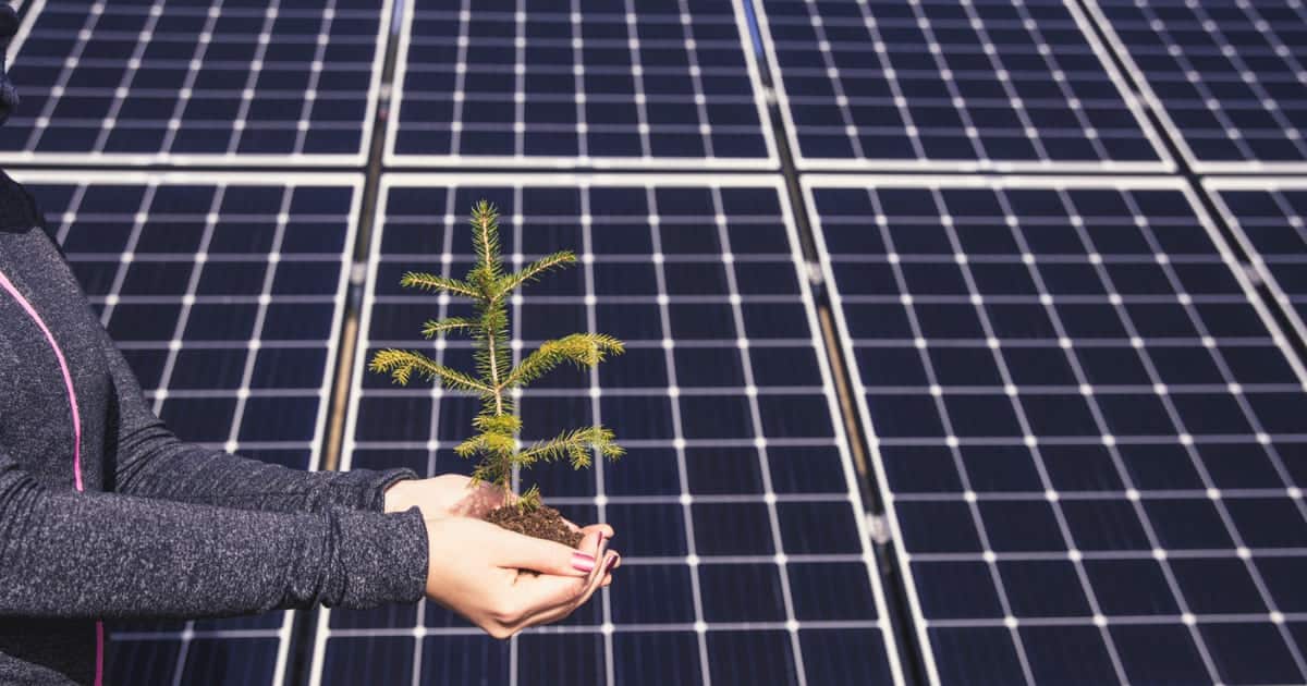 découvrez comment investir dans des panneaux solaires peut façonner un avenir durable et rentable. adoptez l'énergie renouvelable aujourd'hui pour réduire vos factures d'énergie et contribuer à la protection de l'environnement. informez-vous sur les avantages fiscaux et les solutions adaptées à votre projet.