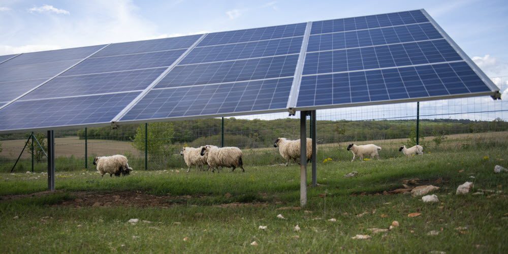 découvrez comment investir dans des panneaux solaires peut garantir un avenir énergétique durable et rentable. profitez des avantages écologiques et économiques de l'énergie solaire tout en contribuant à la transition vers des solutions énergétiques responsables.