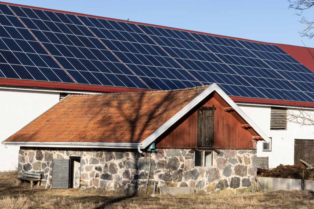 découvrez comment les panneaux photovoltaïques d'edf peuvent devenir une solution rentable pour votre maison. profitez des avantages d'une énergie renouvelable, réduisez vos factures d'électricité et contribuez à un avenir durable tout en maîtrisant vos coûts grâce à une installation performante.