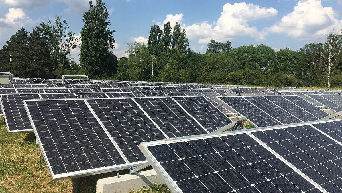 découvrez le panneau solaire blanc, une solution élégante et efficace pour transformer l'énergie solaire en électricité. idéal pour tous les projets d'énergie renouvelable, il combine performance et esthétique pour s'intégrer parfaitement à votre habitat.