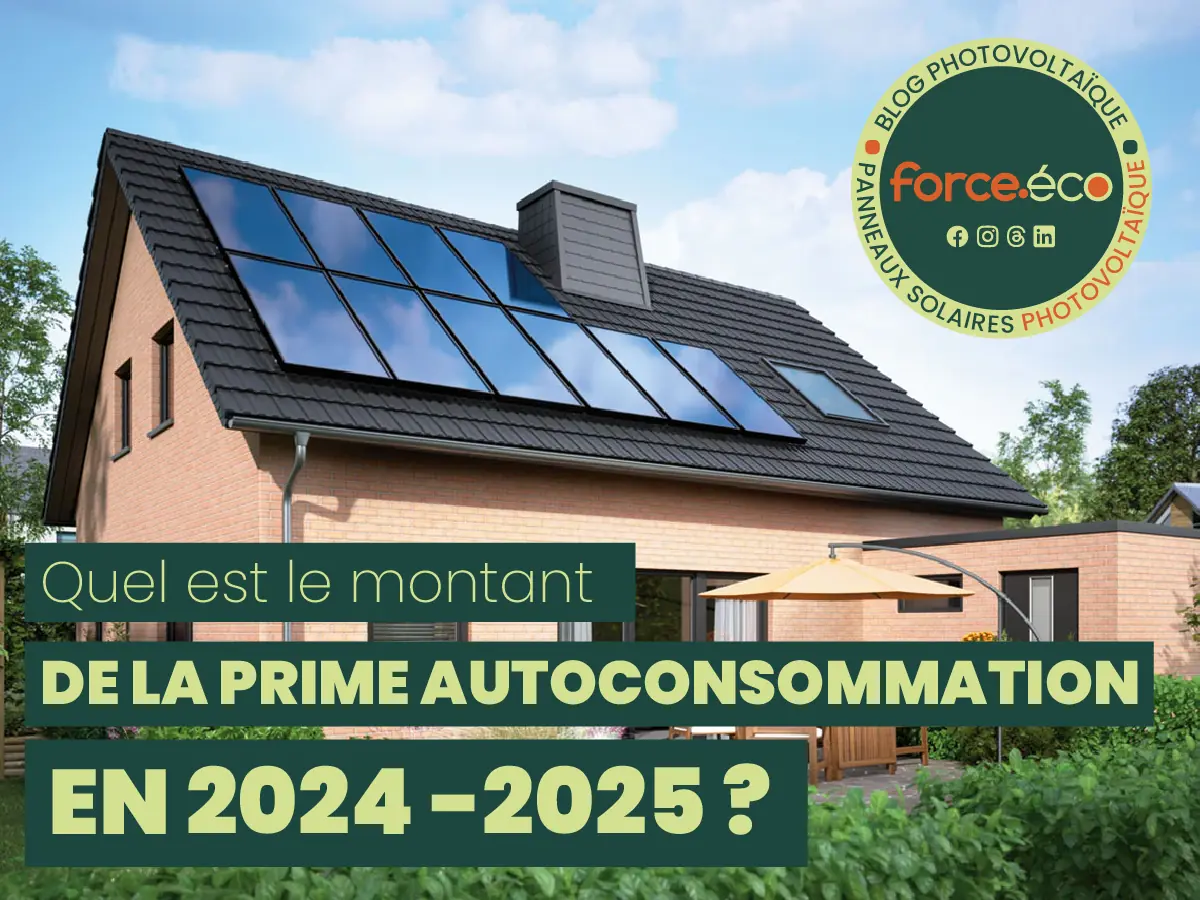 découvrez nos panneaux photovoltaïques éco-responsables, conçus pour allier performance énergétique et respect de l'environnement. optez pour une énergie renouvelable, réduisez votre empreinte carbone et faites un geste pour la planète tout en réalisant des économies sur vos factures d'électricité.