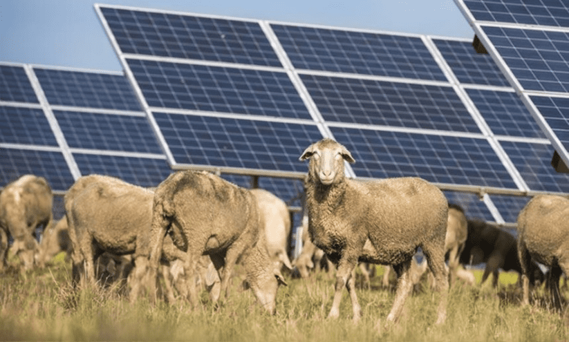 découvrez comment les panneaux photovoltaïques peuvent transformer le milieu rural en une source d'énergie durable et économique. profitez des avantages écologiques et financiers tout en soutenant le développement des zones rurales.