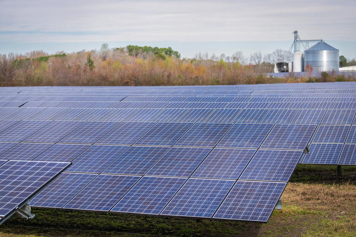 découvrez les prix des panneaux solaires pour une surface de 200m2. comparez les coûts, les avantages énergétiques et les aides financières disponibles pour maximiser votre investissement dans l'énergie solaire.
