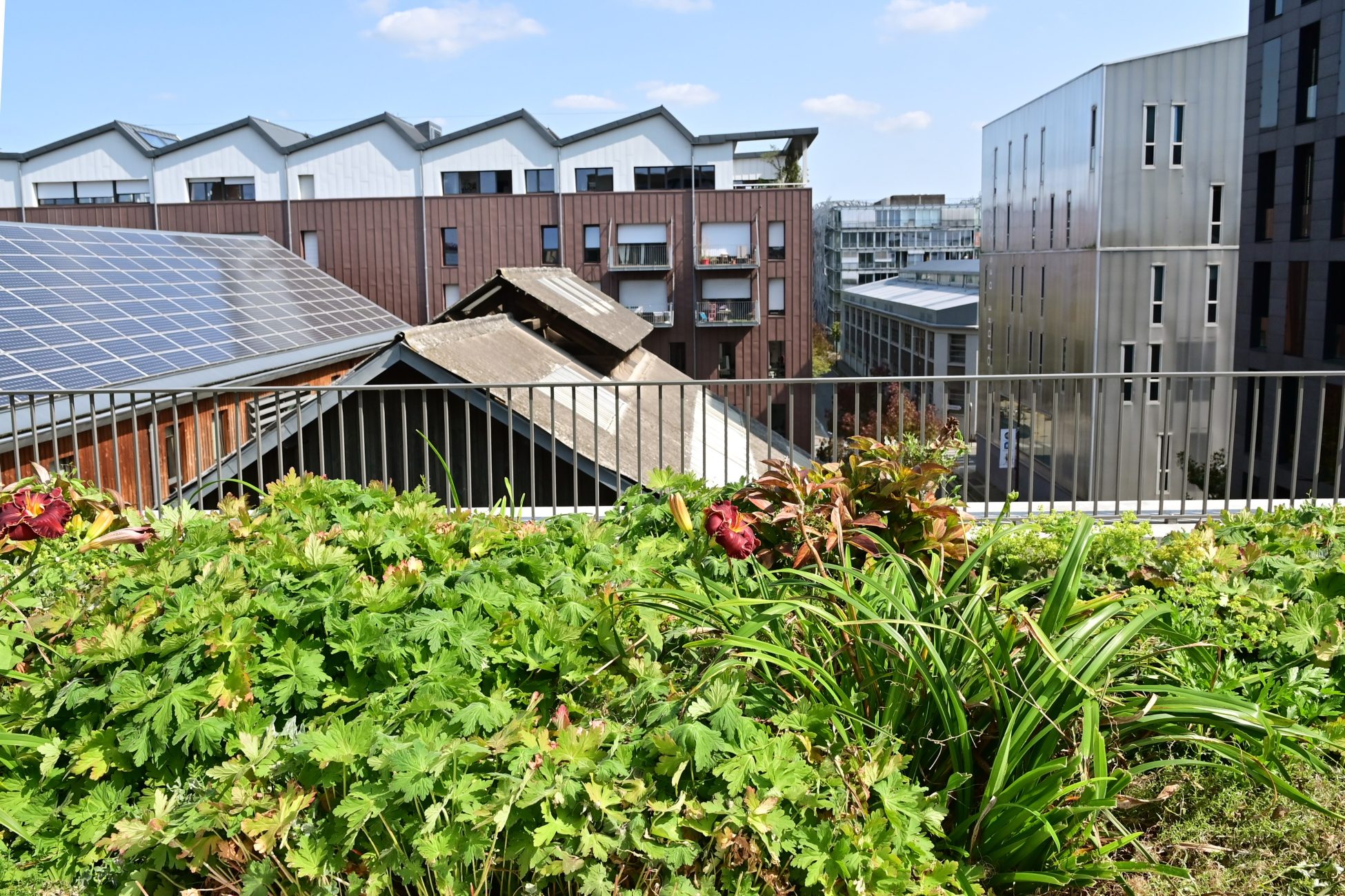 découvrez nos projets solaires pour toits collectifs, qui permettent de valoriser les espaces communs tout en réduisant les coûts énergétiques. engagez-vous dans la transition énergétique avec des solutions durables et innovantes pour votre communauté.