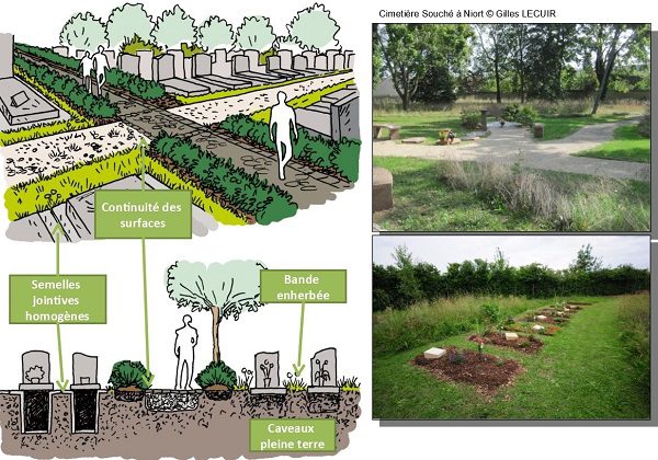 découvrez des solutions écologiques pour un jardin durable. apprenez comment cultiver un espace vert respectueux de l'environnement, alliant esthétique et durabilité, grâce à des pratiques innovantes et responsables.
