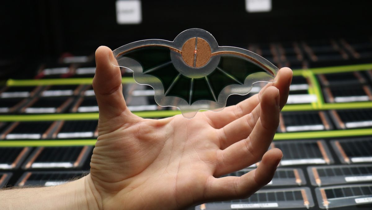 découvrez les dernières avancées en technologies photovoltaïques, qui transforment la lumière du soleil en énergie propre et durable. explorez les solutions innovantes pour optimiser l'efficacité énergétique et réduire votre empreinte carbone.