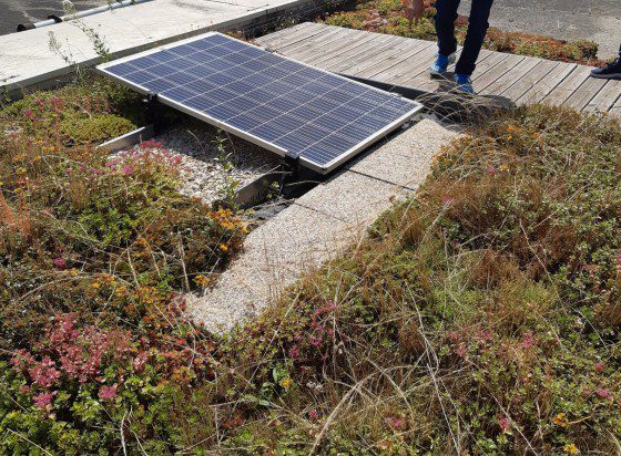 découvrez les avantages des toitures photovoltaïques : une solution écologique pour produire de l'énergie renouvelable, réduire vos factures d'électricité et valoriser votre patrimoine immobilier. adoptez une démarche durable tout en contribuant à la transition énergétique.