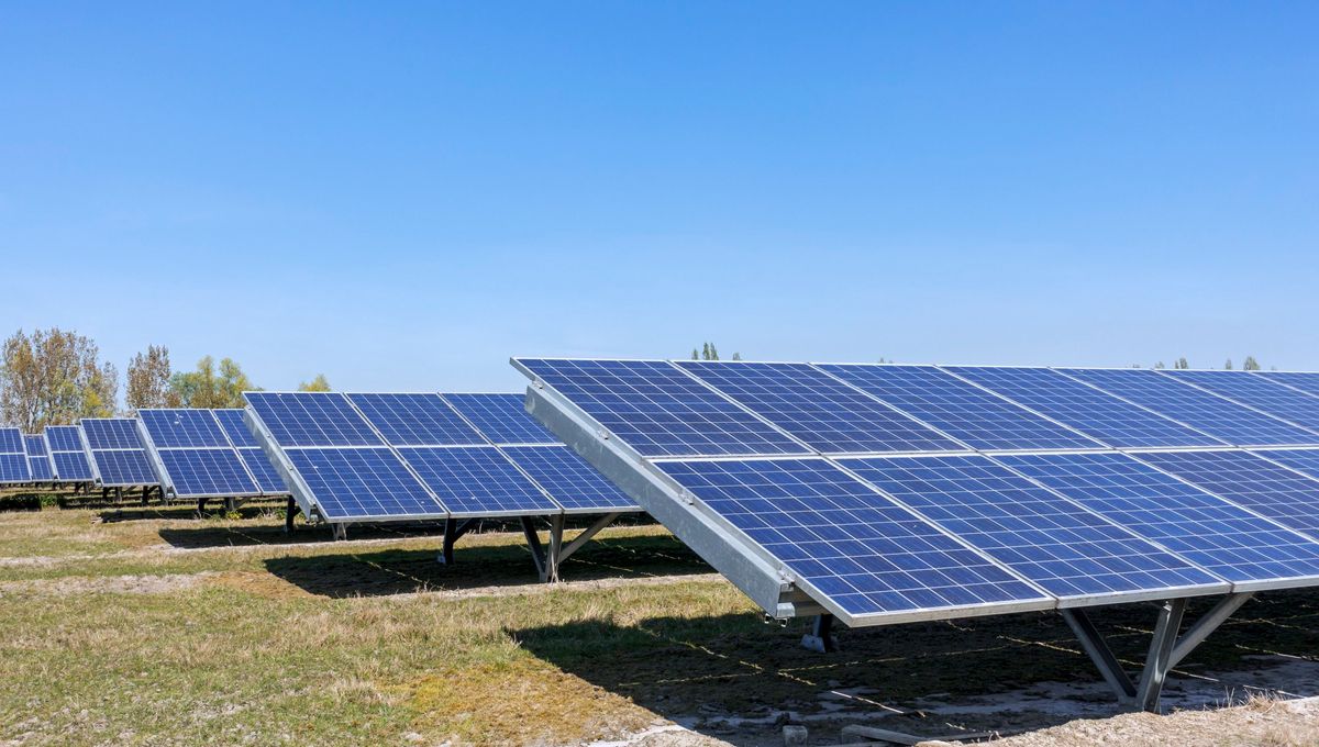 découvrez comment les panneaux solaires transforment l'énergie solaire en électricité, permettant ainsi de réduire votre facture d'énergie tout en contribuant à un avenir durable. informez-vous sur les avantages, le fonctionnement et l'installation des systèmes photovoltaïques.