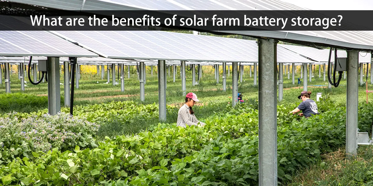 découvrez les nombreux avantages des batteries solaires : autonomie énergétique, réduction des factures d'électricité, impact environnemental positif et conservation d'énergie. optimisez votre consommation d'énergie grâce à cette solution durable et innovante.