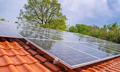 découvrez notre avis détaillé sur les services et produits d'oscaro power. explorez les performances, la qualité et les retours d'expérience des utilisateurs pour faire le meilleur choix pour votre véhicule.