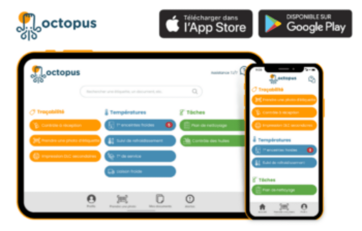 découvrez notre comparatif complet des octopuses : caractéristiques, habitats et comportements de ces créatures fascinantes. comparez les différentes espèces pour mieux comprendre leur diversité et leur adaptation marine.