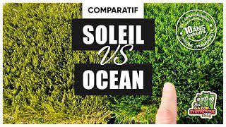 découvrez notre comparatif complet des solutions solaires pour vous aider à choisir la meilleure option d'énergie renouvelable. comparez les types de panneaux, les kits solaires, et les offres des fournisseurs afin d'optimiser votre consommation énergétique et réduire votre empreinte carbone.