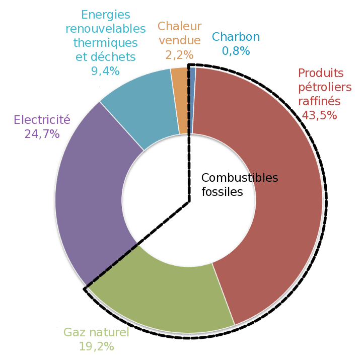 découvrez l'éducation aux énergies renouvelables, un secteur en plein essor qui forme les esprits de demain. explorez les formations, les initiatives pédagogiques et les compétences nécessaires pour réussir dans un monde de plus en plus axé sur la durabilité et la transition énergétique.