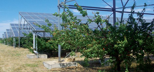 découvrez les solutions d'électricité solaire à jarry pour une énergie renouvelable et durable. profitez de l'expertise locale pour réduire votre facture d'électricité et contribuer à la protection de l'environnement.