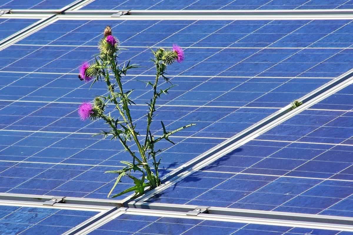 découvrez comment l'énergie propre façonne notre avenir. explorez les technologies durables et les innovations qui transforment notre société vers une consommation énergétique responsable et respectueuse de l'environnement.