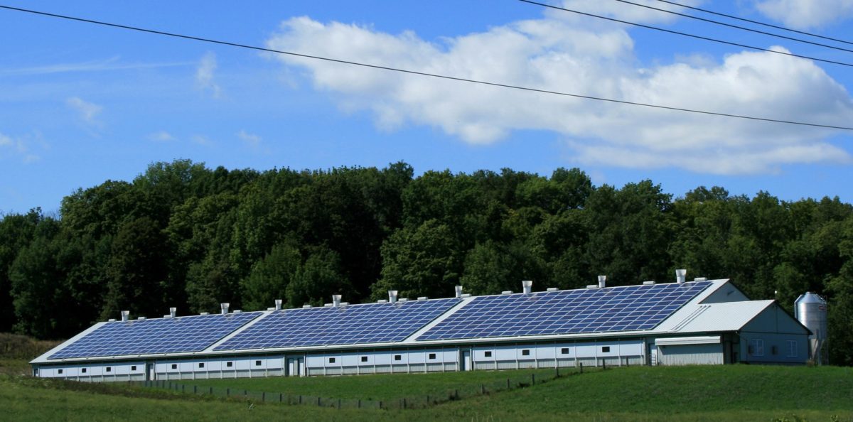 découvrez l'importance de l'évaluation environnementale pour les projets photovoltaïques. analysez les impacts écologiques, les bénéfices durables et les solutions innovantes pour un avenir énergétique responsable.
