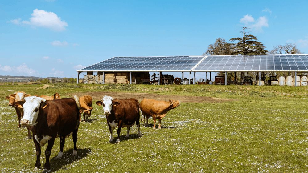 découvrez notre guide photovoltaïque complet pour tout savoir sur l'énergie solaire. apprenez à installer des panneaux solaires, à optimiser votre consommation d'énergie et à bénéficier des aides financières disponibles. transformez votre habitat en espace éco-responsable grâce à nos conseils pratiques.